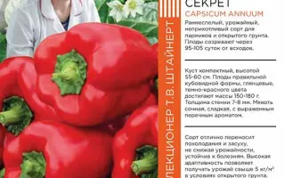 БАБУШКИН СЕКРЕТ