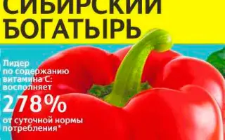 СИБИРСКИЙ БОГАТЫРЬ