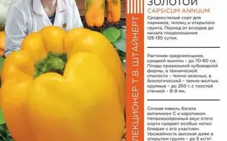 БУЙВОЛ ЗОЛОТОЙ