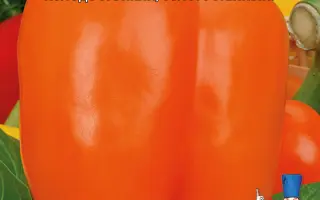 РЫЖИЙ БАРИН