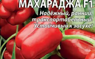 МАХАРАДЖА