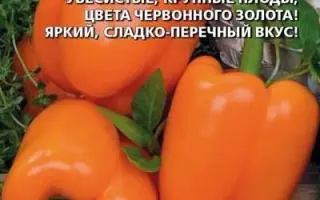 ДИВО ДИВНОЕ