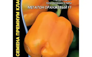 МЕГАТОН ЗОЛОТОЙ