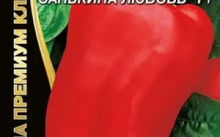 САНЬКИНА ЛЮБОВЬ