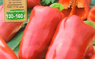 ЗДОРОВЯЧОК