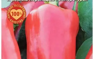 БОЛЬШАЯ ПЕРЕМЕНА