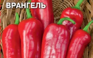 ГЕНЕРАЛ ВРАНГЕЛЬ