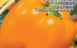 КУБОК ЯНТАРНЫЙ