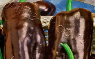 ШОКОЛАДНЫЙ КРАСАВЕЦ