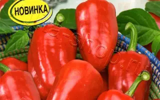 РУБИНОВАЯ ЛАКОМКА