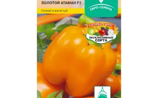 ЗОЛОТОЙ АТАМАН