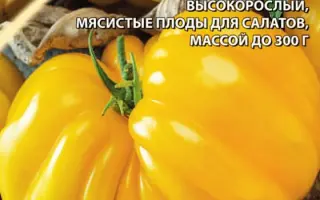 ВЕСЕЛАЯ СОСЕДКА