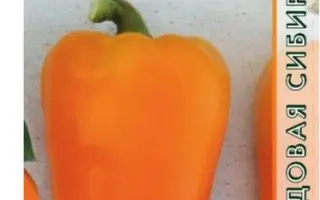 СОЛНЕЧНАЯ УЛЫБКА