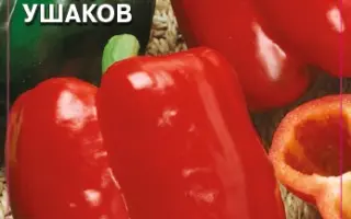 АДМИРАЛ УШАКОВ