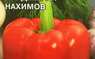 АДМИРАЛ НАХИМОВ