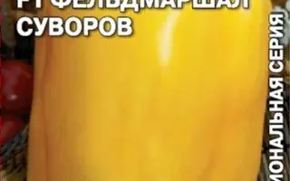 ФЕЛЬДМАРШАЛ СУВОРОВ