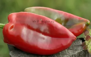 СЛОНОВО УВО