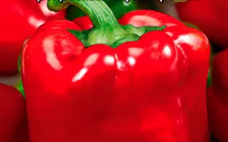 БОЛЬШОЙ КУШ