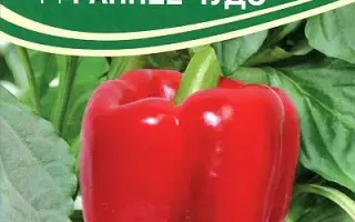 РАННЕЕ ЧУДО