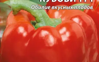 КУБОВИЧ