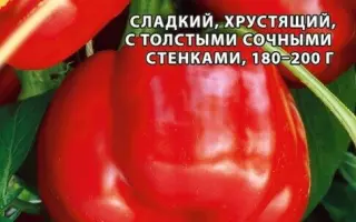 КУБОК РУБИНОВЫЙ