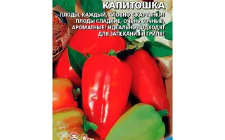 КАПИТОШКА