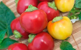 РУБИНОВОЕ ОЖЕРЕЛЬЕ