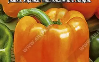 ОРАНЖЕВЫЙ ЛЕВ