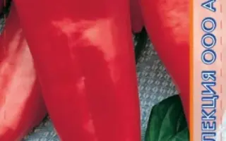 АРИСТОКРАТ