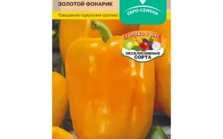 ЗОЛОТОЙ ФОНАРИК