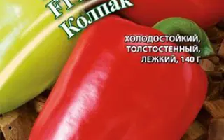 КРАСНЫЙ КОЛПАК