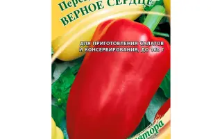 ВЕРНОЕ СЕРДЦЕ