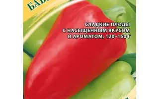 БАБУШКИНА ГРЯДКА