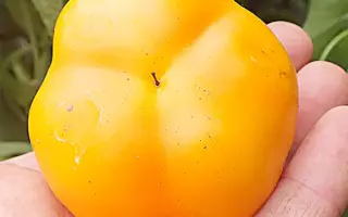 ЛАМПА АЛЛАДИНА