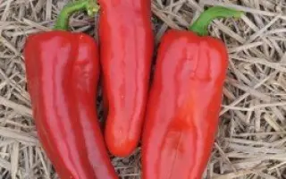 РУМЯНЫЕ ЩЕЧКИ