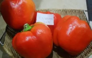 ЯБЛОЧНЫЙ СПАС