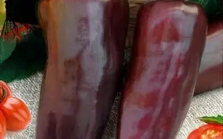 ЦЫГАНСКИЙ БАРОН