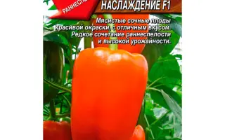 ОРАНЖЕВОЕ НАСЛАЖДЕНИЕ