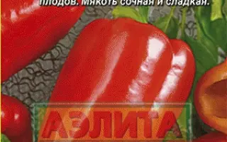 ПОЛЕ ЧУДЕС