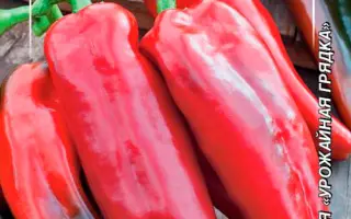 ИСПАНСКИЙ СЛАДКИЙ