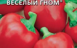 ВЕСЕЛЫЙ ГНОМ