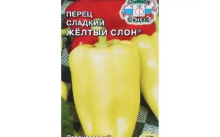 ЖЕЛТЫЙ СЛОН