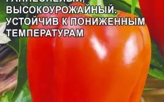 ФЕЛЬДМАРШАЛ