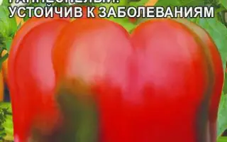 ВОЖДЬ КРАСНОКОЖИХ