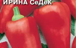 ИРИНА СЕДЕК