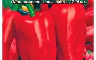 РУССКИЙ СУВЕНИР