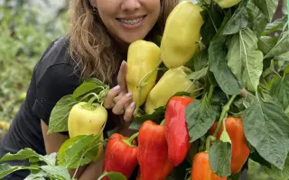 ЗЛАТА ПРАГА