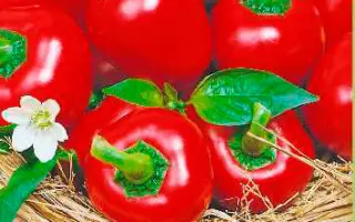 КИТАЙСКИЙ ФОНАРИК