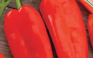 БОЛЬШОЙ ПРИЗ