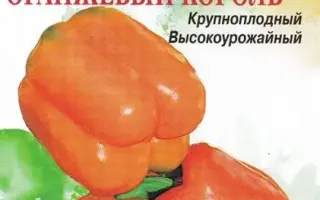 ОРАНЖЕВЫЙ КОРОЛЬ